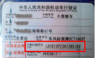 新能汽车代码多少