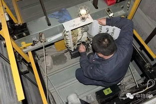 汽车电梯年审费用多少