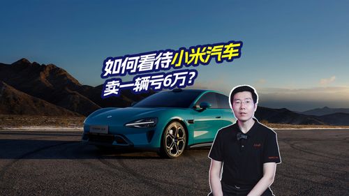 小米汽车排队多少量