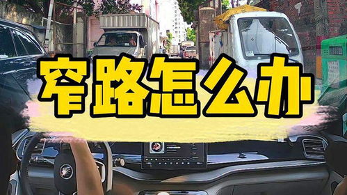 做汽车陪练投资多少