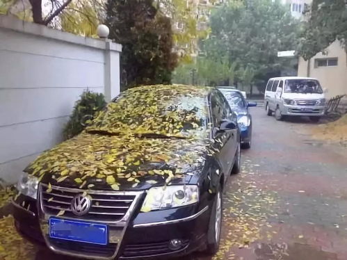 汽车跑到多少公里最好
