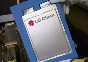 lg汽车电池销售多少