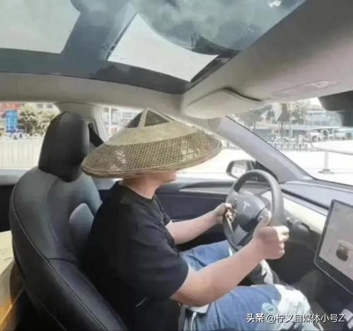 汽车天幕最高多少温度