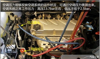 汽车雪种要多少量 汽车雪种要多少量