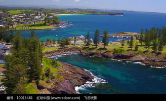 海岛上有多少汽车