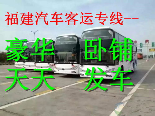 集美汽车养护价格多少
