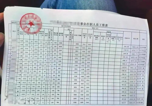 小学汽车老师工资多少