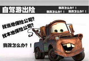 汽车出险概率是多少
