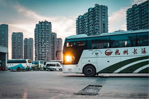 多少路汽车到南站
