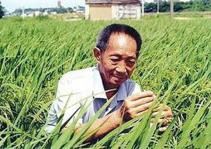 袁隆平汽车销量多少