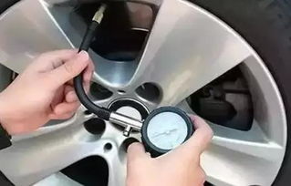 八轮汽车油耗多少