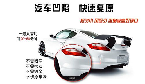 汽车妮子多少钱