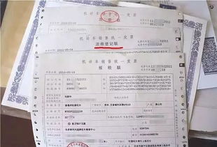 汽车险能报多少