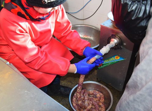 七旬老农被五步蛇咬后割肉放血自救