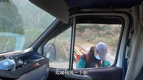 汽车上有多少陶瓷