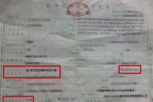 汽车出险核定损失多少