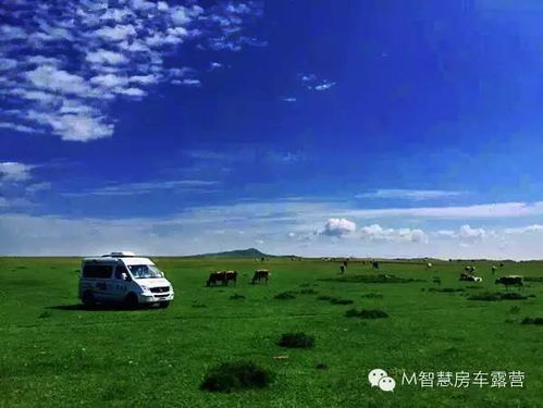 草原汽车走了多少里