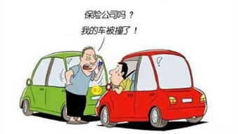 汽车的全险赔多少