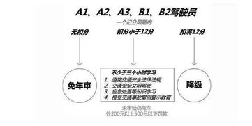 汽车扣分多少需重考