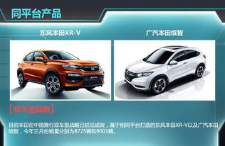东本汽车油耗多少