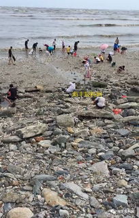 深圳一河道惊现大量成扎钞票