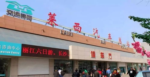 东营汽车总站多少班