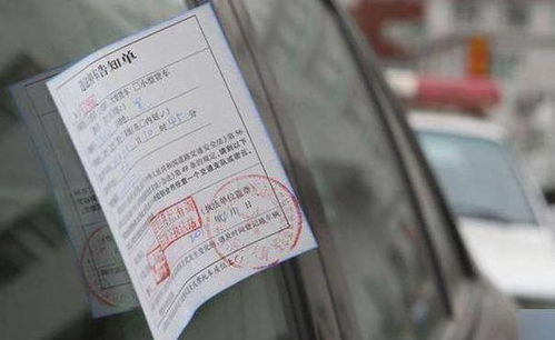 怎么处理汽车罚款多少