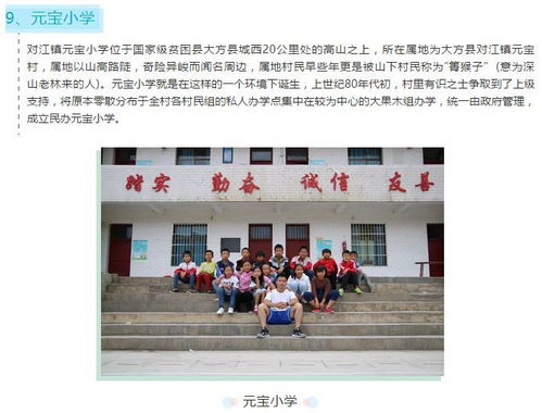 湖南一学校买1万多公斤荔枝给师生
