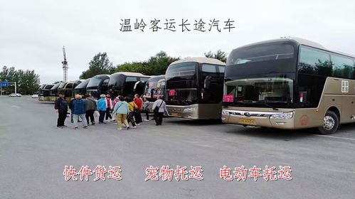 日照到聊城汽车多少