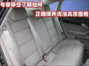 汽车真皮保养频率多少