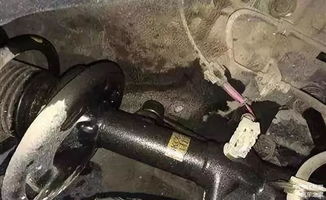 汽车减震里多少油