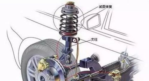 汽车减震里多少油