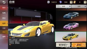 荒野汽车多少钱
