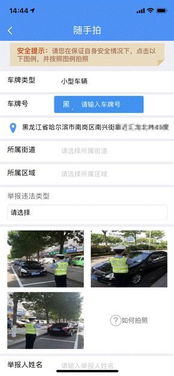 拍汽车违章奖金多少
