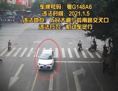 拍汽车违章奖金多少