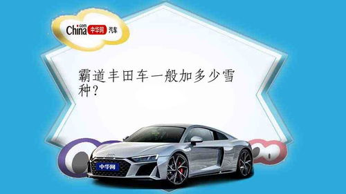 汽车加雪种多少斤