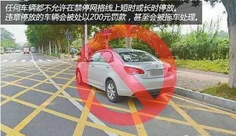 深圳汽车最高罚款多少