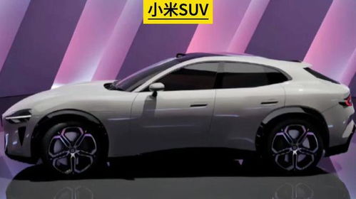 小米汽车suv价格多少