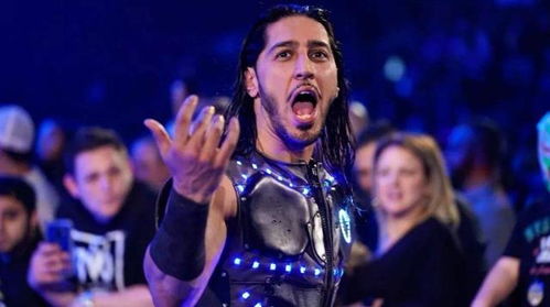 wwe汽车多少钱