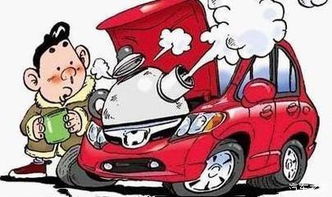 汽车能带多少白酒上车
