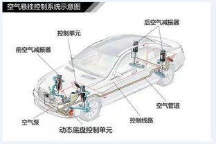 汽车减振器硬度多少正常