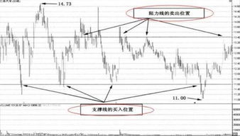 汽车支撑线价格多少