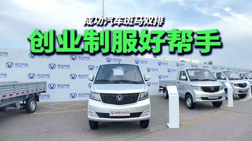 成功斑马汽车多少落地