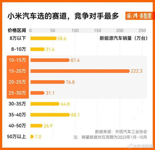 小米汽车亏损定价多少