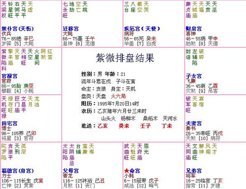 紫薇星盘在线查询免费算命（紫薇星盘免费测试详解）