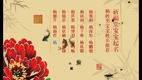 杨姓简单寓意好的名字（姓杨的经典并带有寓意的名字）