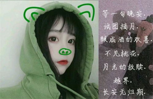 想找一个好听的网名（找个好听的网名吧）