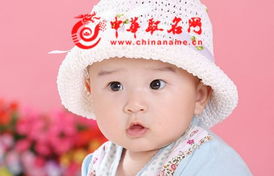 2023兔年女宝宝起名（2023兔宝宝名字）