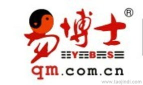 网络公司起名（网络公司起名字大全免费取名）