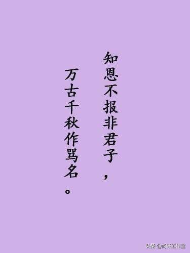 领悟人生的微信名（领悟人生的微信个性签名）